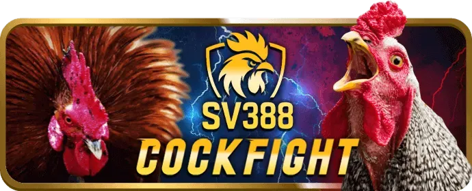 Lịch sử phát triển và thành tựu của 99win33